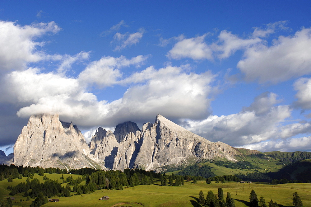 Alpine meadow and mountains under clouded sky, Alpe di Siusi, Valle Isarco, Italy, Europe