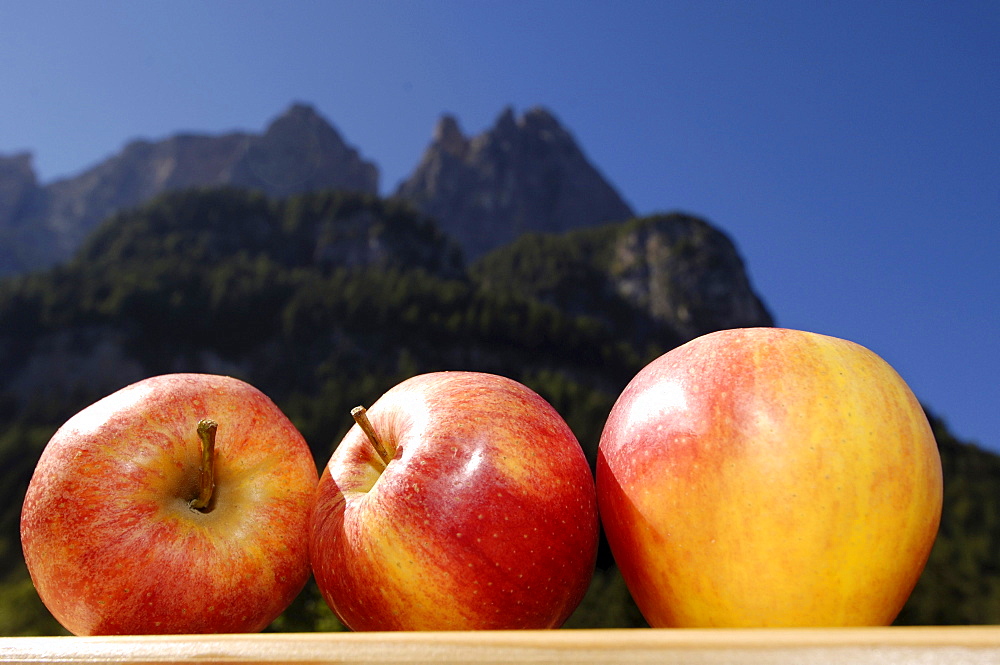 Three sunlit apples in front of mountains in the background, Sciliar, South Tyrol, Italy, Europe