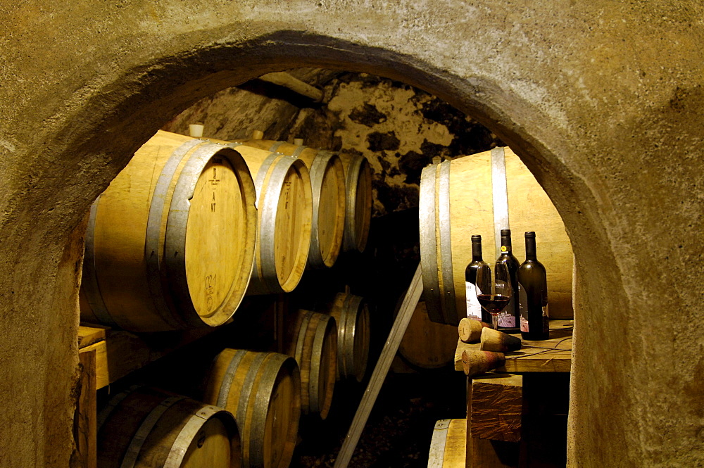 View at wine barrels and bottles at a wine cellar, South Tyrol, Italy, Europe