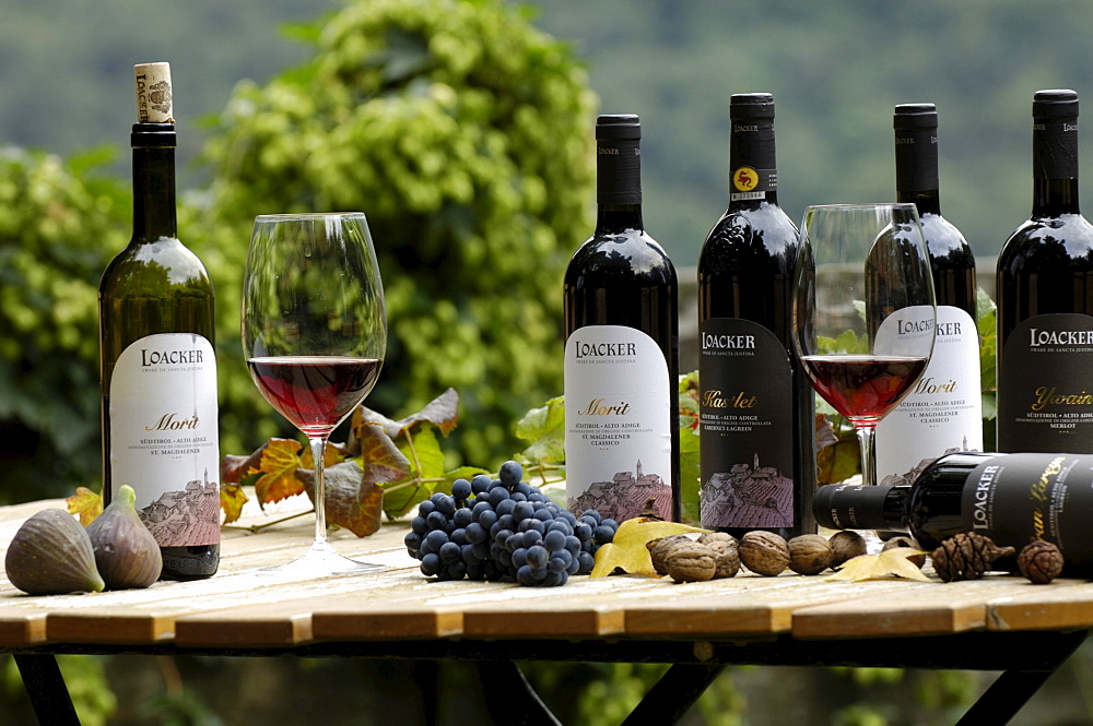 Wine tasting, wine bottles and glasses on a table, South Tyrol, Italy, Europe