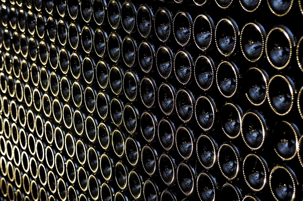 Rows of bottles of sparkling wine, Sektkellerei Reiterer, Arunda Sekt, Moelten, South Tyrol, Italy