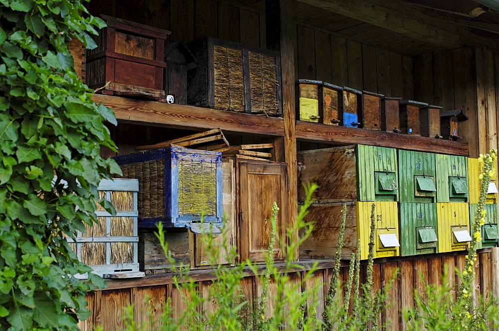 Bee hives in the South Tyrolean local history museum at Dietenheim, Puster Valley, South Tyrol, Italy