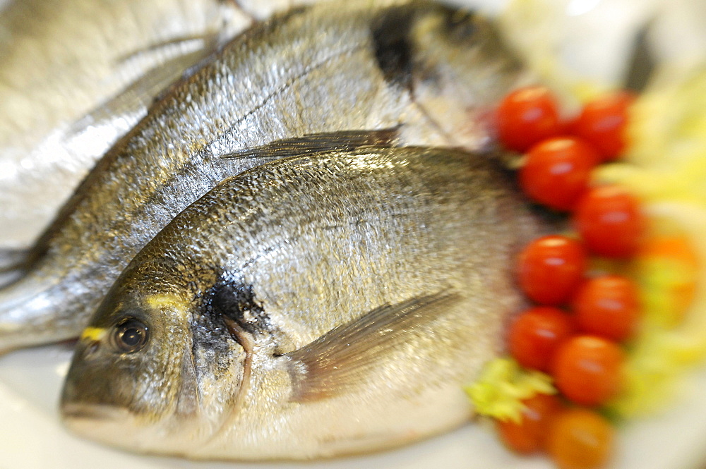 Fishes and tomatoes on a plate, Restaurant Da Cesare, Bozen, South Tyrol, Italy, Europe