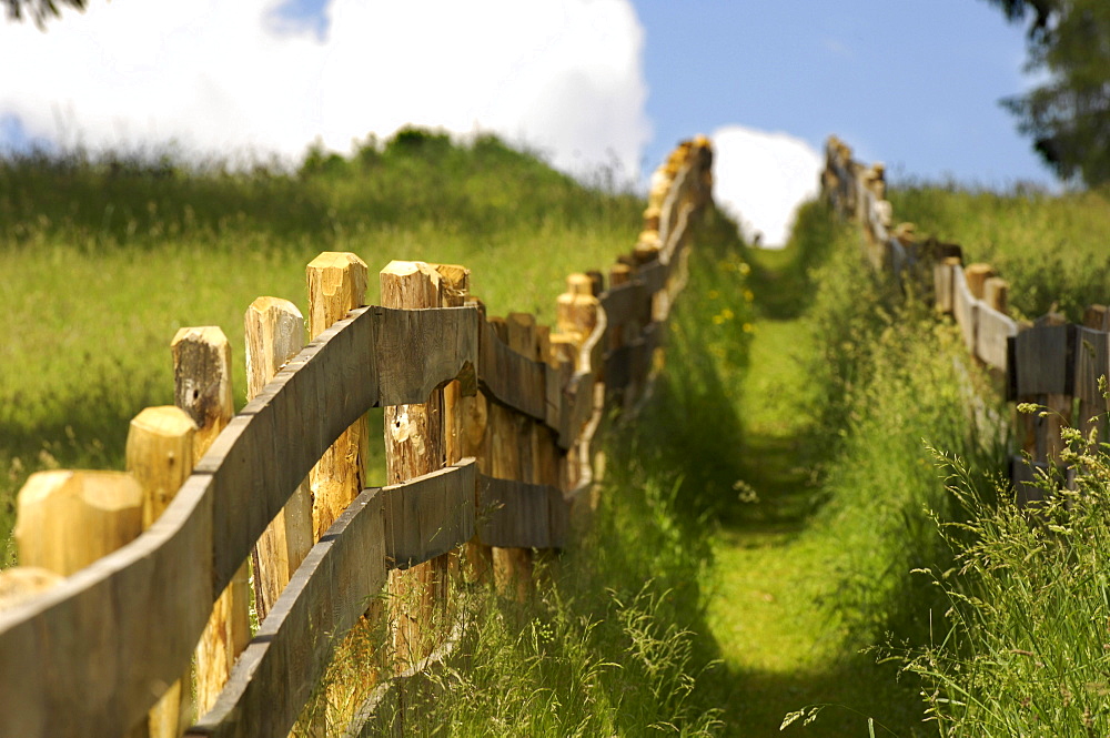 Deserted hiking trail between wooden fences in the sunlight, Salten, South Tyrol, Italy, Europe