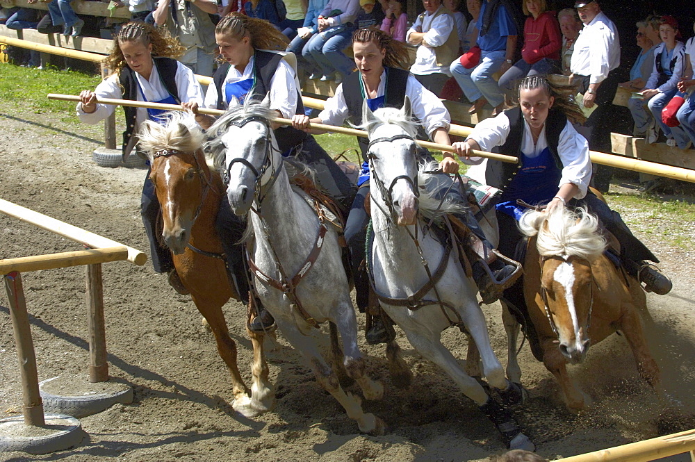 Labyrinth, Tournament, Oswald von Wolkenstein Ritt, Event 2005, Seis am Schlern, South Tyrol, Italy