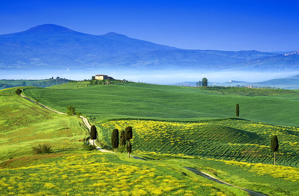 Scenery with country house under blue sky, view to Monte Amiata, Val dâˆšÃ‡Â¬Â¥Orcia, Tuscany, Italy, Europe