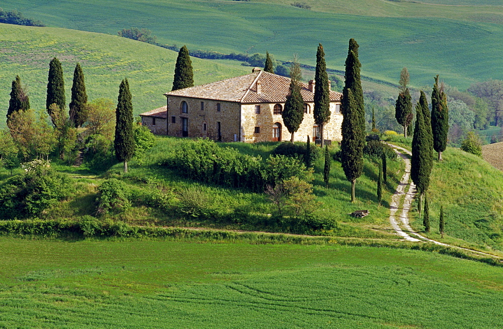 View at country house with cypresses on a hill, Val d'Orcia, Tuscany, Italy, Europe