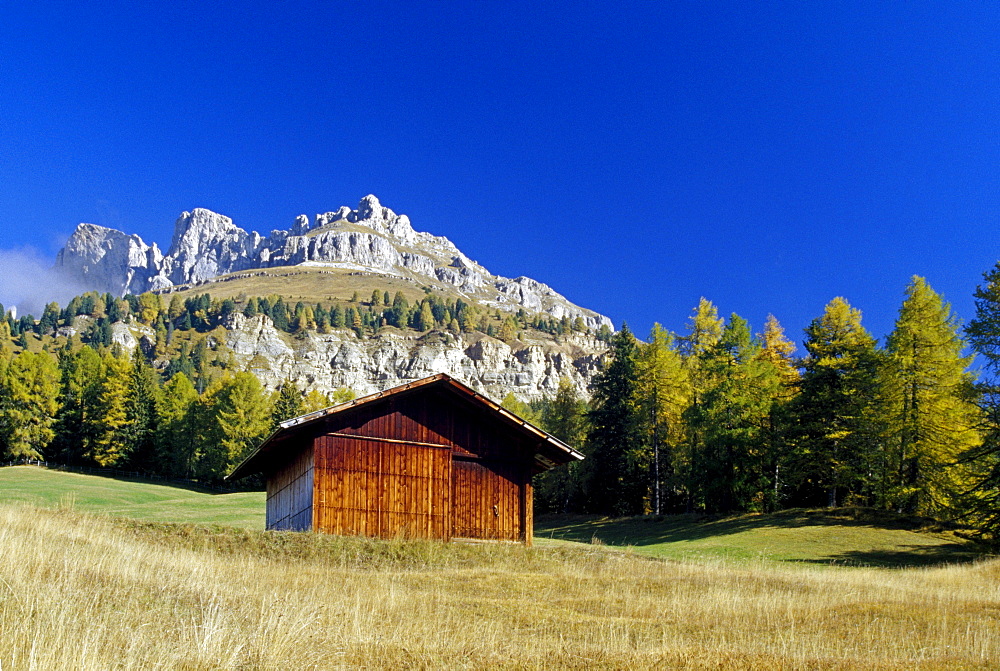 Alpine hut at Passo di Costalunga, Dolomite Alps, South Tyrol, Italy