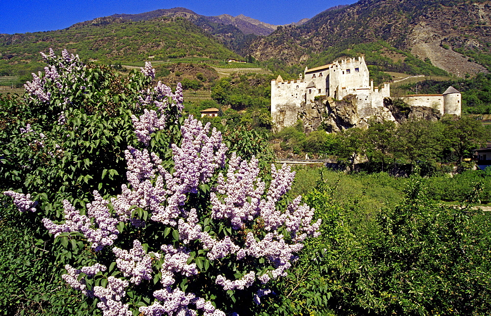 Castelbello castle, Fiume Adige, Val Venosta, Dolomite Alps, South Tyrol, Italy