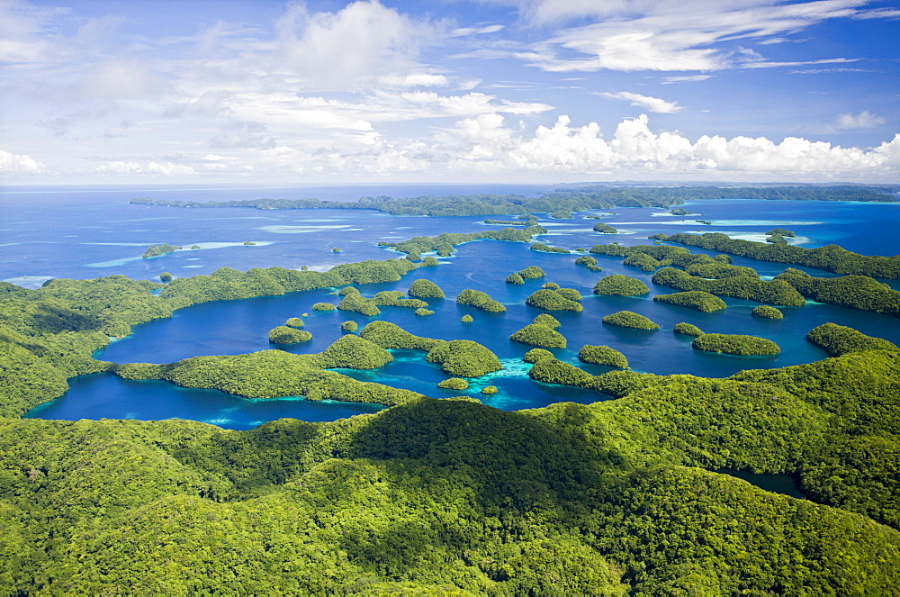 Islands of Palau, Micronesia, Palau