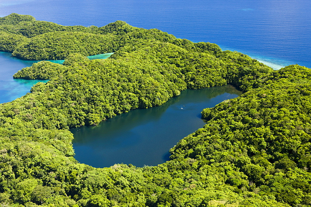 Aerial View of Jellyfish Lake of Palau, Micronesia, Palau