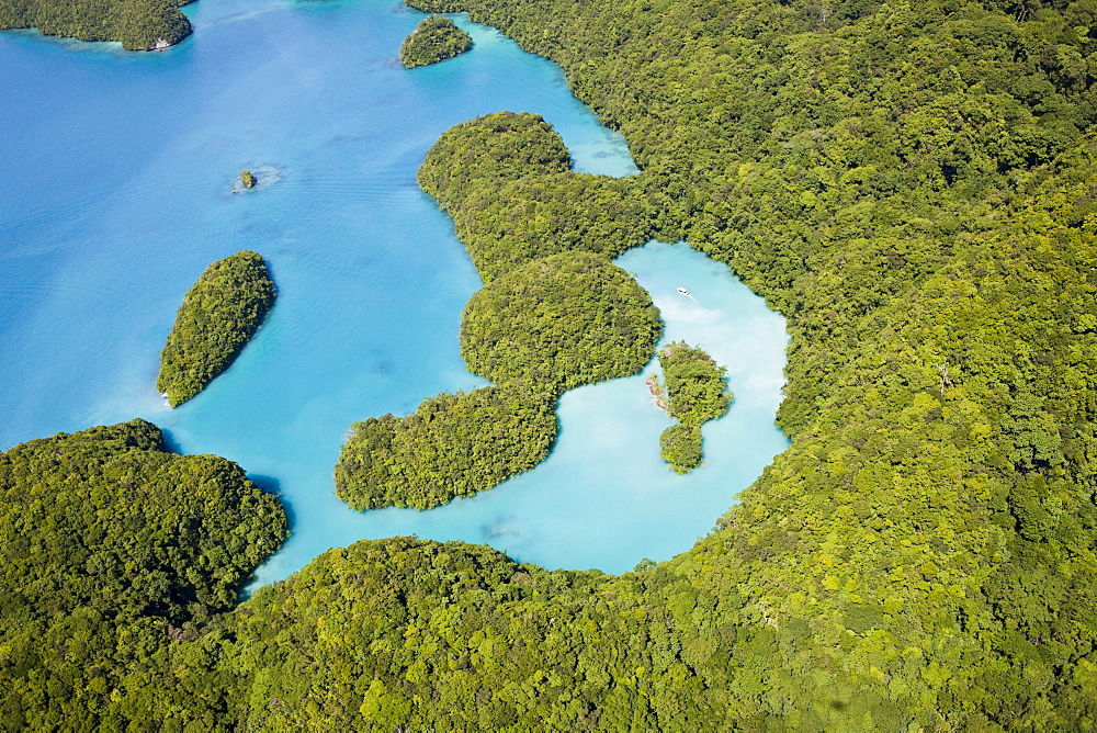 Islands of Palau, Micronesia, Palau