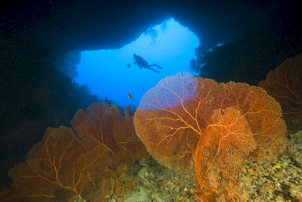 Diver in Siaes Tunnel Cave, Siaes Tunnel, Micronesia, Palau