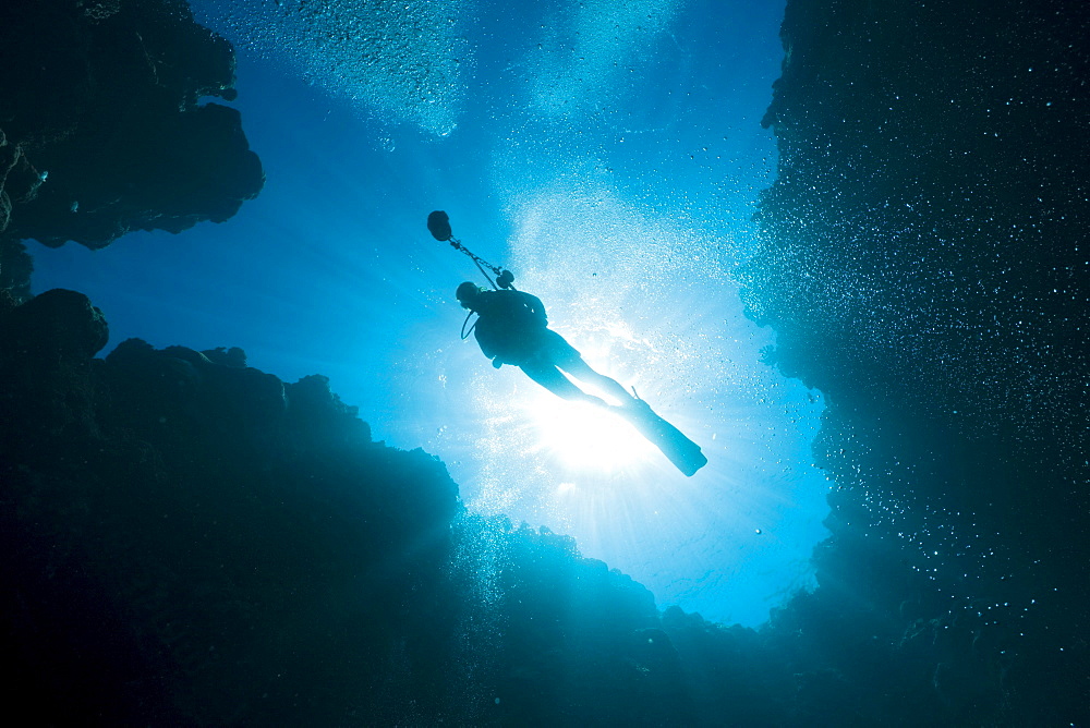 Diver in Siaes Tunnel Cave, Micronesia, Palau