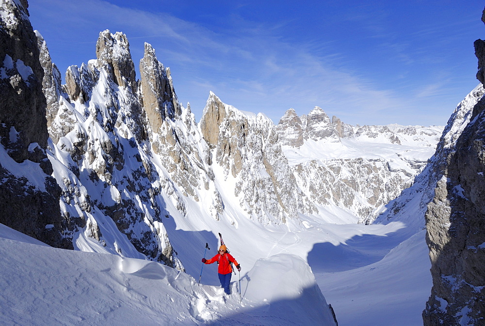 Female backcountry skier ascending, Cadini range, Dolomites, Trentino-Alto Adige/Suedtirol, Italy