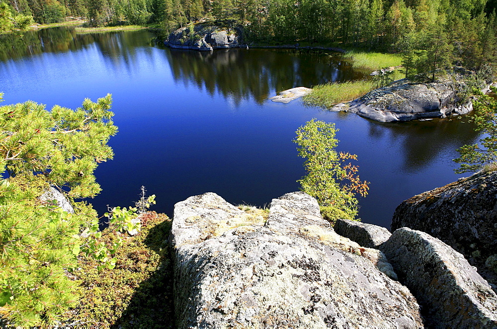 Shore of an uninhabited island in the sunlight, Saimaa Lake District, Finland, Europe