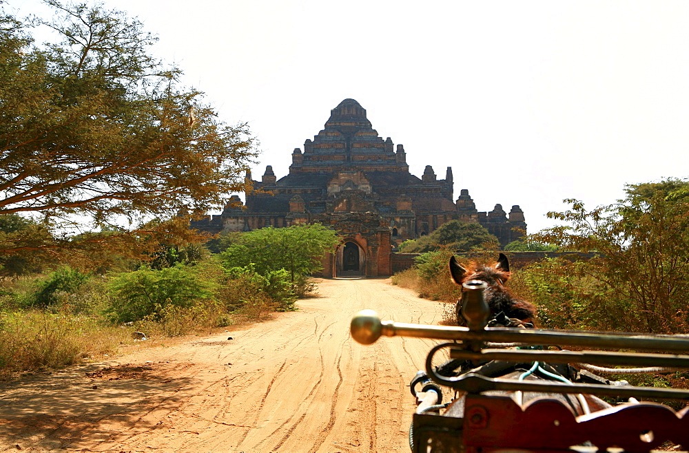 Horse-drawn carriage in front of the Dhammayangyi Temple in the sunlight, Bagan, Myanmar, Burma, Asia