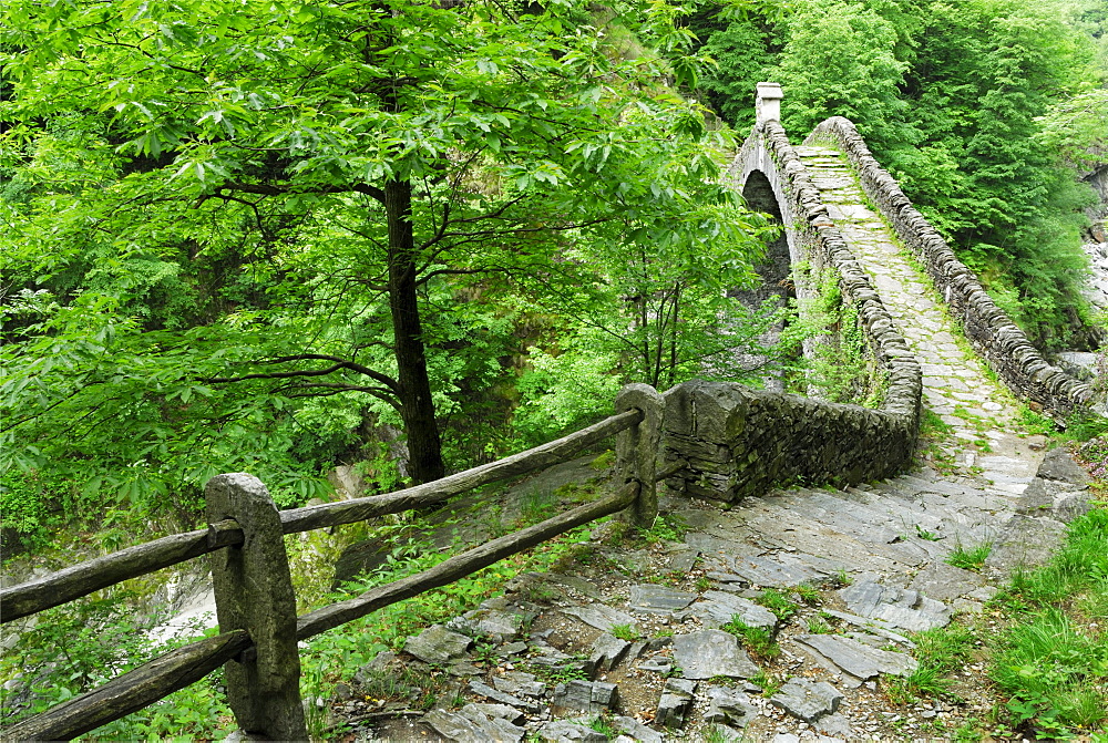 Stone arch bridge Ponte Romano over river Melezza, Intragna, Centovalli, lake Maggiore, Lago Maggiore, Ticino, Switzerland