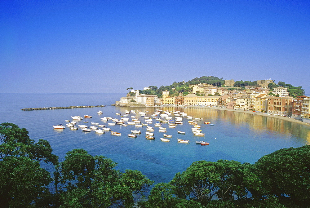 View at the seaport Sestri Levante at Baia del Silenzio, Liguria, Italian Riviera, Italy, Europe