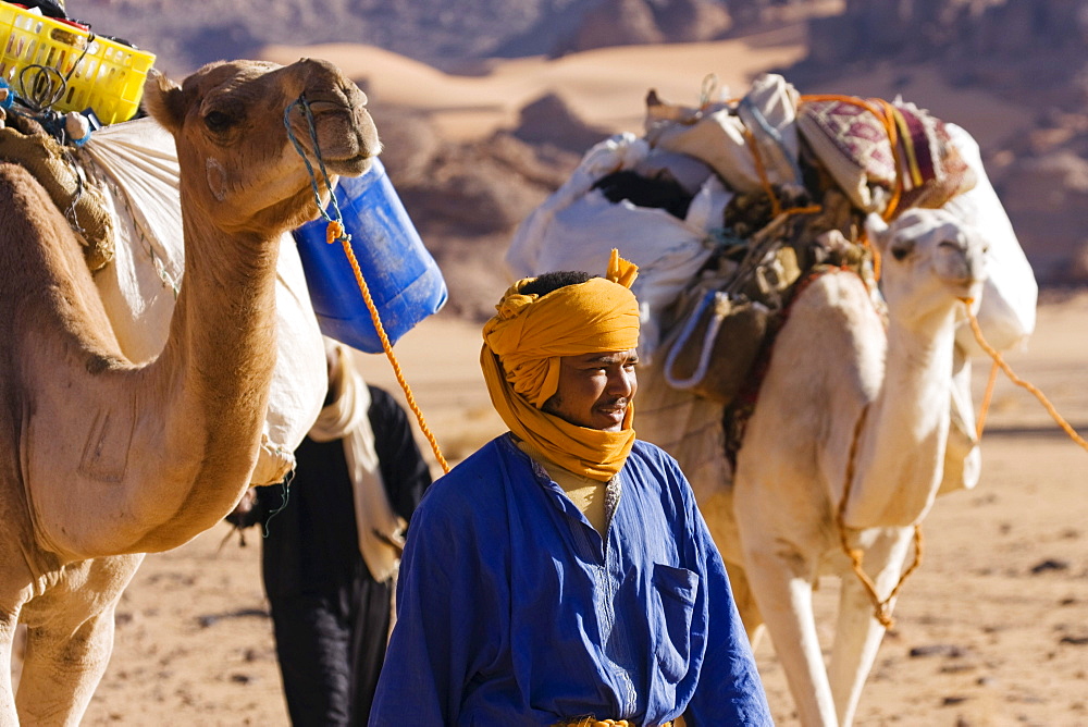 Camel Caravan in the libyan desert, Dromedaries, Camelus dromedarius, Akakus mountains, Libya, Sahara, North Africa