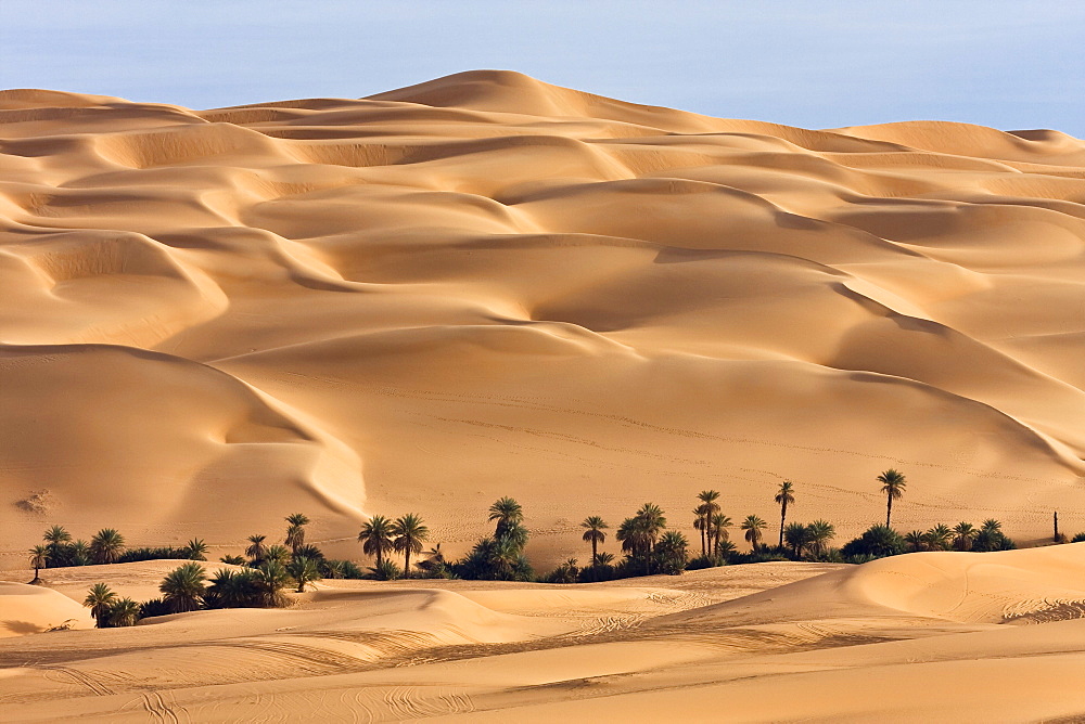 Um el Ma oasis and sanddunes, libyan desert, Libya, Sahara, Africa