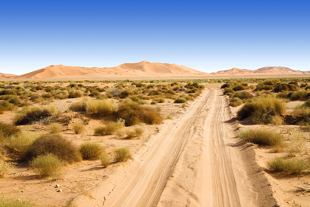 Road in the libyan desert, Sanddunes, Sahara, Libya, North Africa