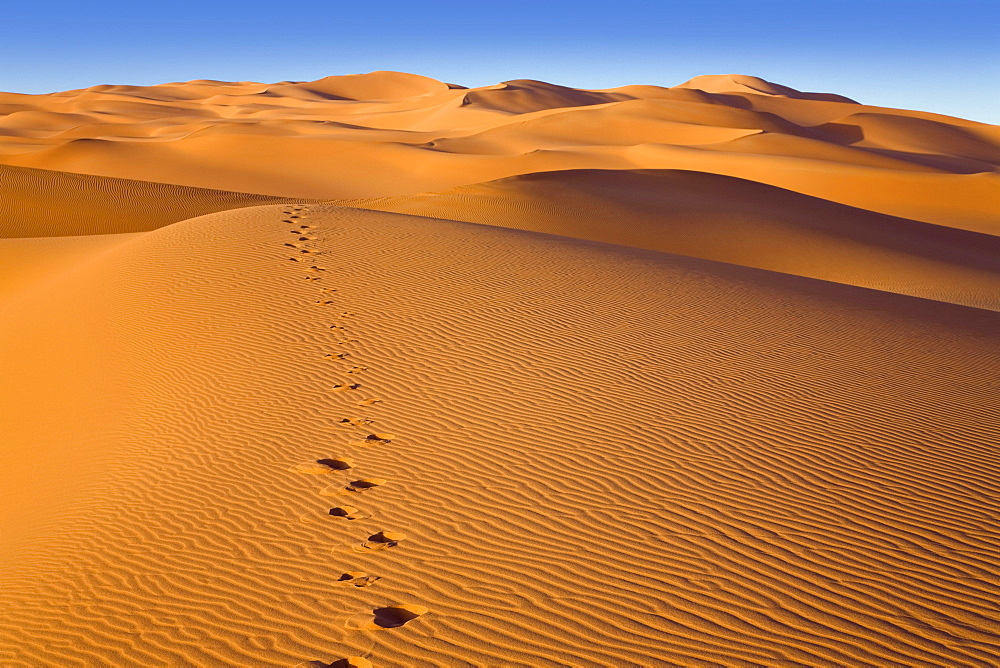 Footprints in the libyan desert, Libya, Sahara, North Africa