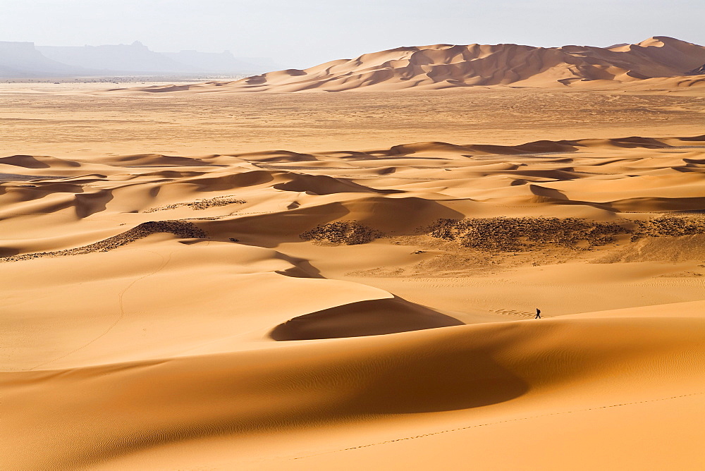 Sanddunes in the libyan desert, Sahara, Libya, North Africa