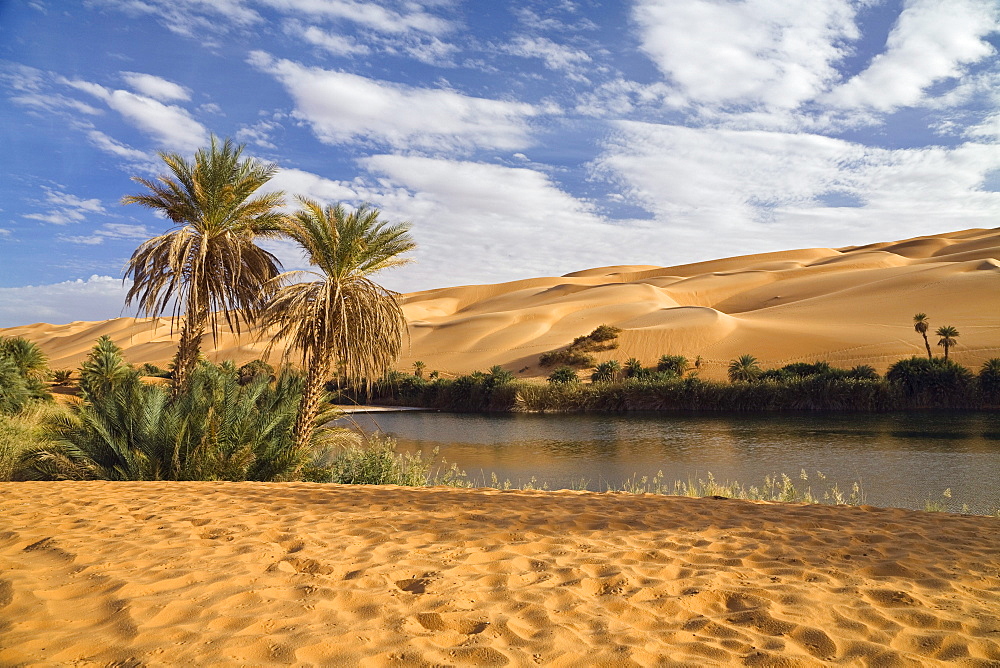 Mandara Lakes in the dunes of Ubari, oasis Um el Ma, libyan desert, Libya, Sahara, North Africa