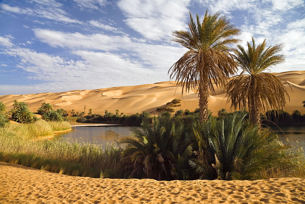 Mandara Lakes in the dunes of Ubari, oasis Um el Ma, libyan desert, Libya, Sahara, North Africa