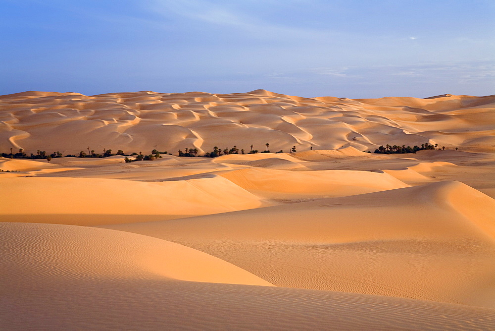 Um el Ma oasis and sanddunes, libyan desert, Libya, Sahara, Africa