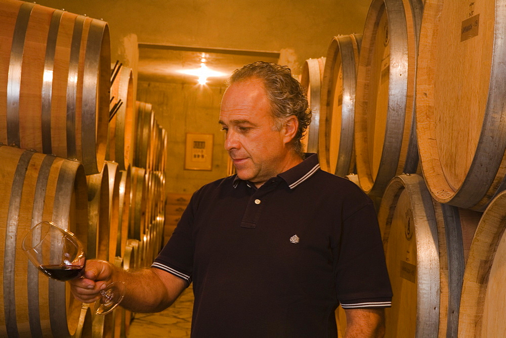 Man, managing director of Tsiakkas Winery, winetasting, Pelendri village, Pitsilia mountains, Cyprus