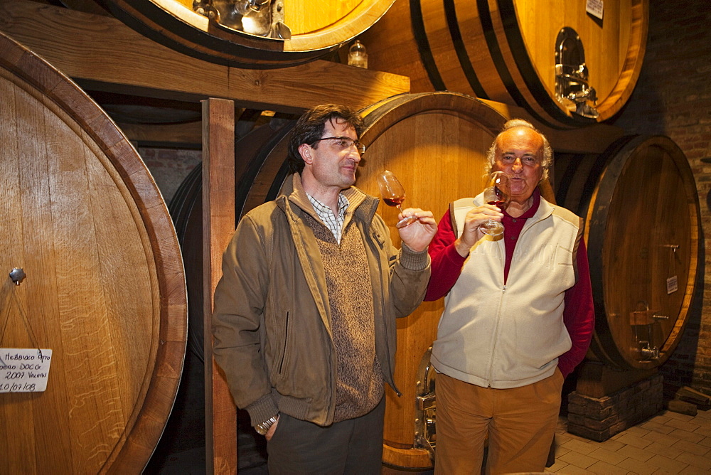 Giacomo Vico in his wine cellar, Canale, Roero, Piedmont, Italy