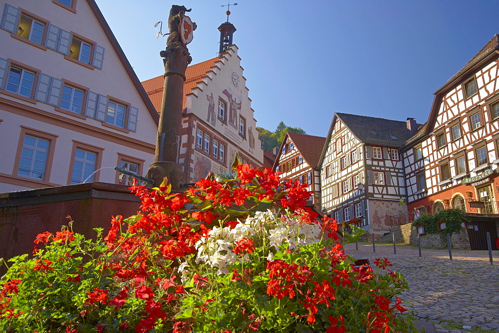 Half-timbered houses and town hall at the market place in the town of Schiltach, Summer, Valley Kinzigtal, Southern Part of Black Forest, Black Forest, Baden-Wuerttemberg, Germany, Europe