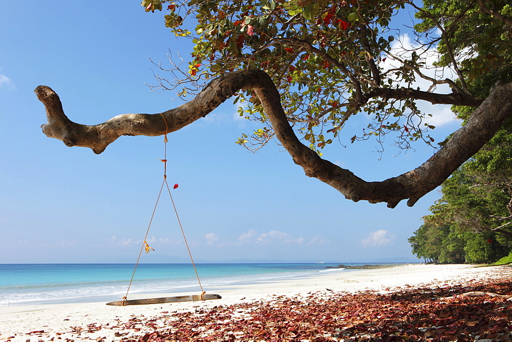 Swing at the edge of the coastal forest of Radha Nagar Beach with a view of the Andaman Sea, Beach 7, Havelock Island, Andamans, India