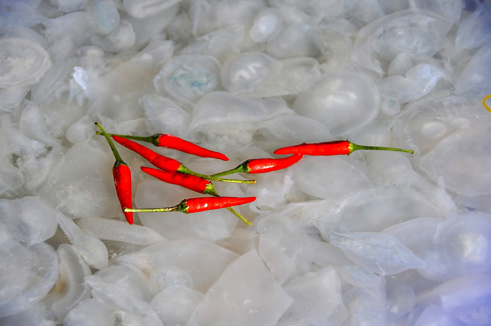 Chili and Jellyfish on the Dong Ba market, Hue, Vietnam