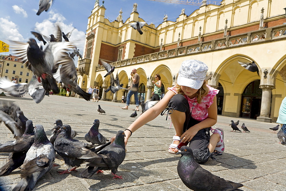 Girl feeding pigeons main market square Rynek Glowny in front of cloth hall, Krakow, Poland, Europe