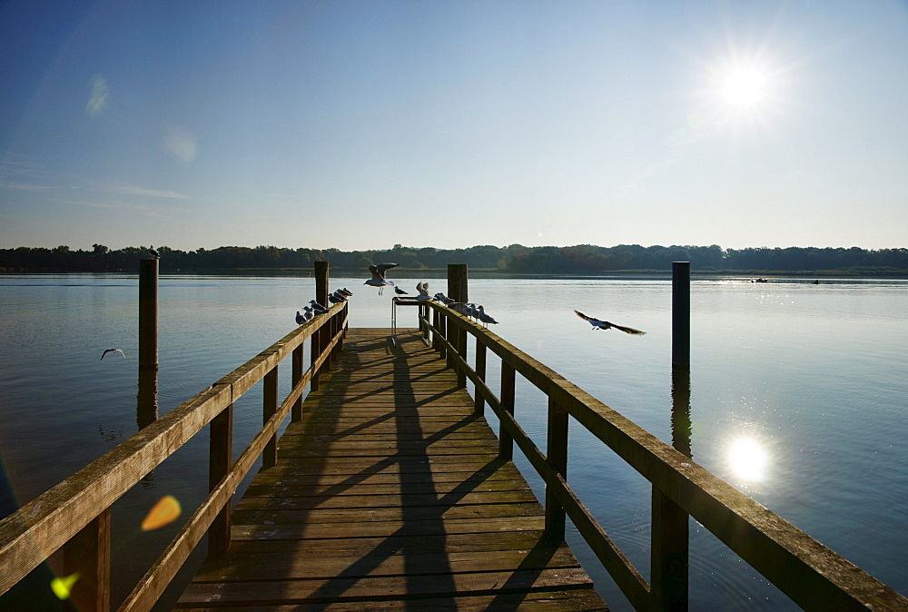 Wooden jetty at lake Grosser Zernsee, Werder (Havel), Land Brandenburg, Germany