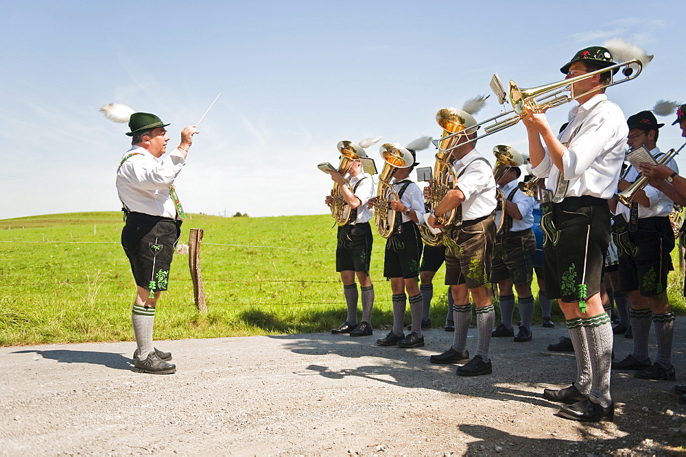 Bull race, Haunshofen, Wielenbach, Upper Bavaria, Germany