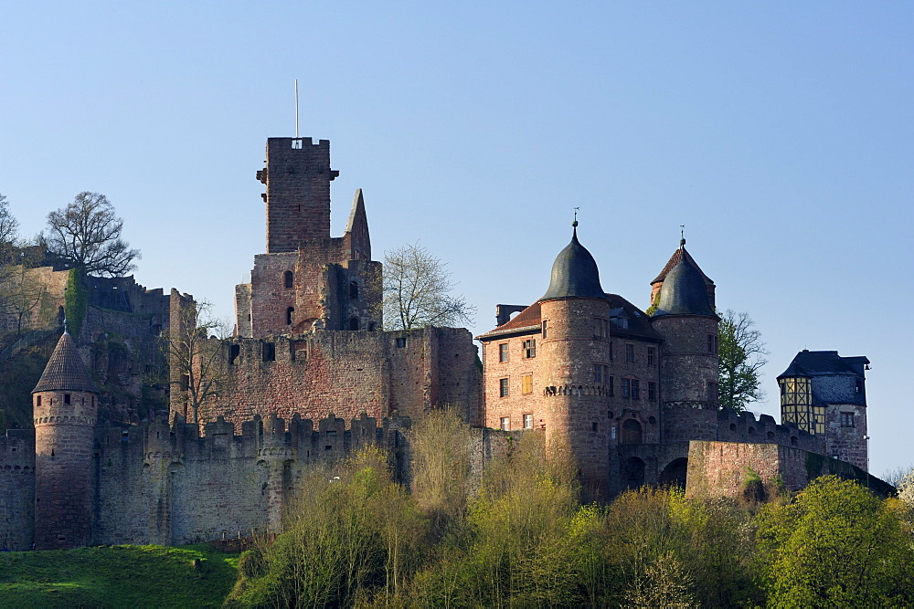 Wertheim Castle, Wertheim, valley of Maintal, Baden-Wuerttemberg, Germany