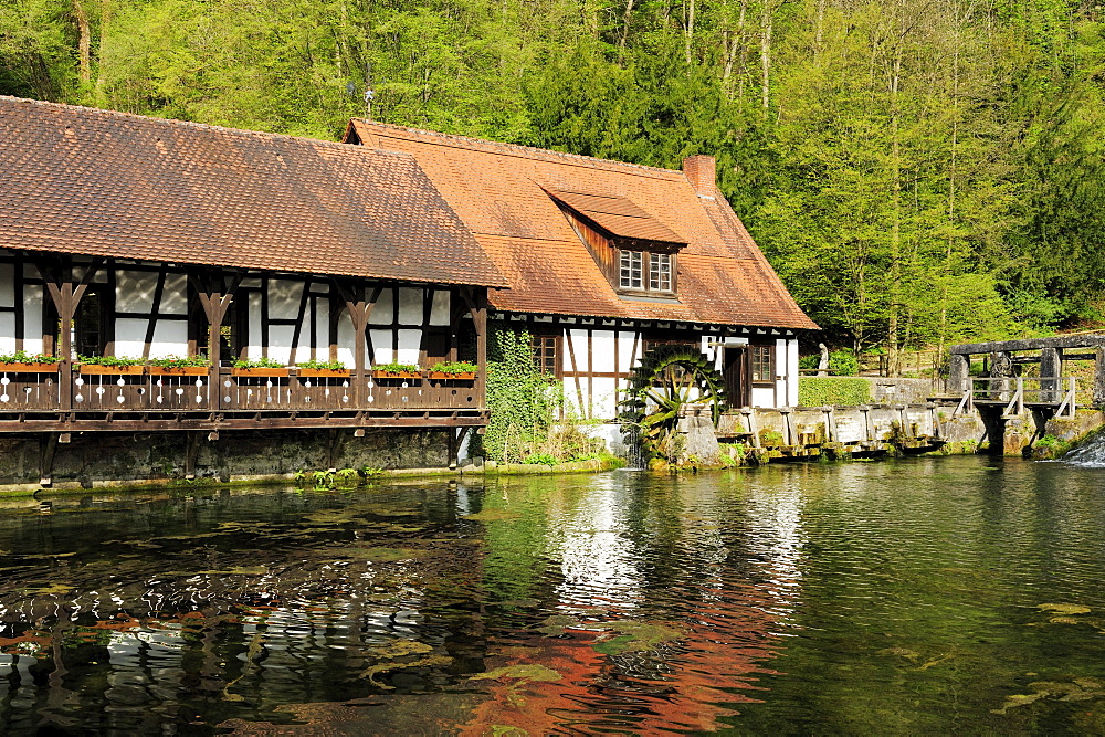 Water mill at Blautopf, Spring and source of the river blau, Blaubeuren, Alb-Donau-Kreis, Bavaria, Germany