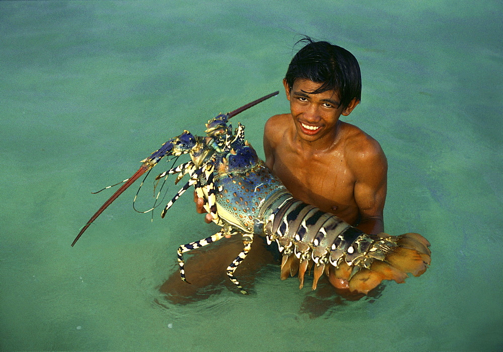 Boy in the water holding giant pacific lobster, Cebu Island, Visayas, Philippines, Asia