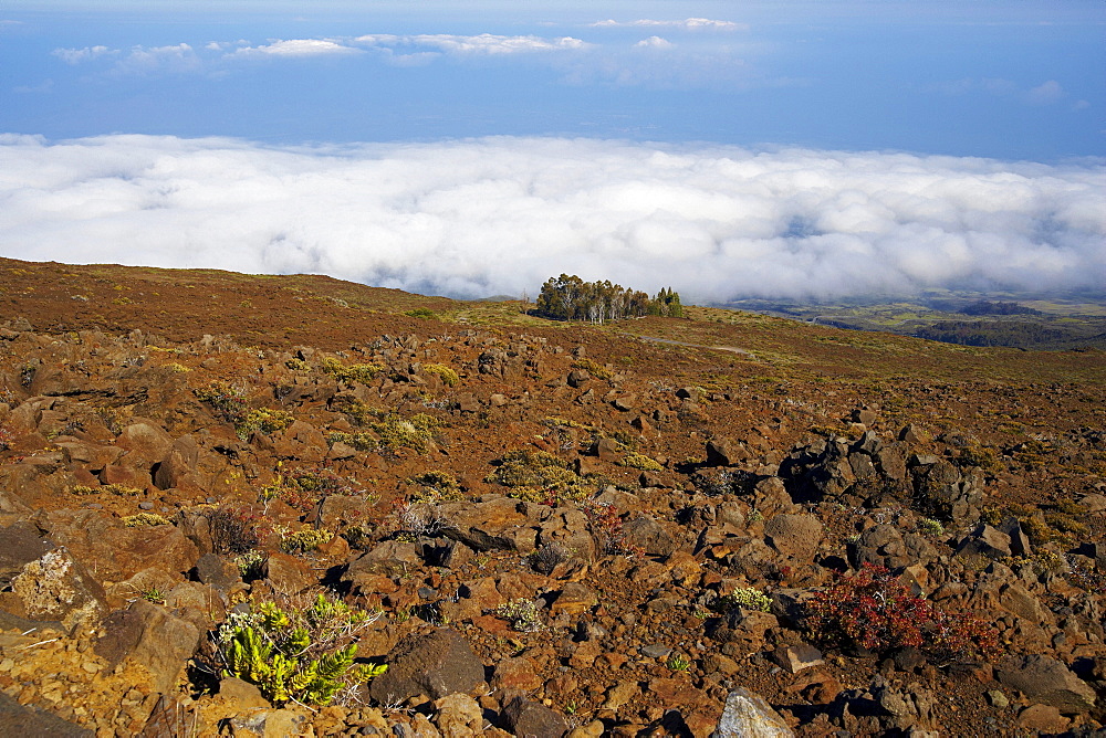 View from Haleakala volcano in the morning, Leleiwi Overlook, Maui, Hawaii, USA, America