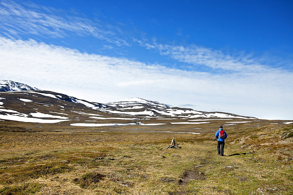 Hiker in the mountains, Lapland, northern Sweden, Sweden