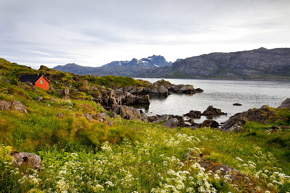 Nappstraumen, Vestvagoya island, Lofoten Islands, North Norway, Norway