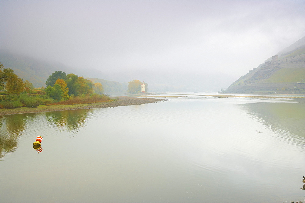 View from the mouth of the river Nahe at the Maeuseturm (Mice tower) and at the ruin of the Ehrenfels castle, Bingen, Cultural Heritage of the World: Oberes Mittelrheintal (since 2002), Mittelrhein, Rhineland-Palatinate, Germany, Europe