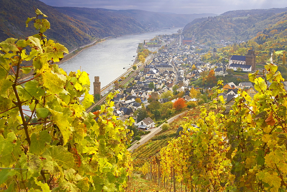 View from the Guenderode House at Oberwesel, Cultural Heritage of the World: Oberes Mittelrheintal (since 2002), Mittelrhein, Rhineland-Palatinate, Germany, Europe