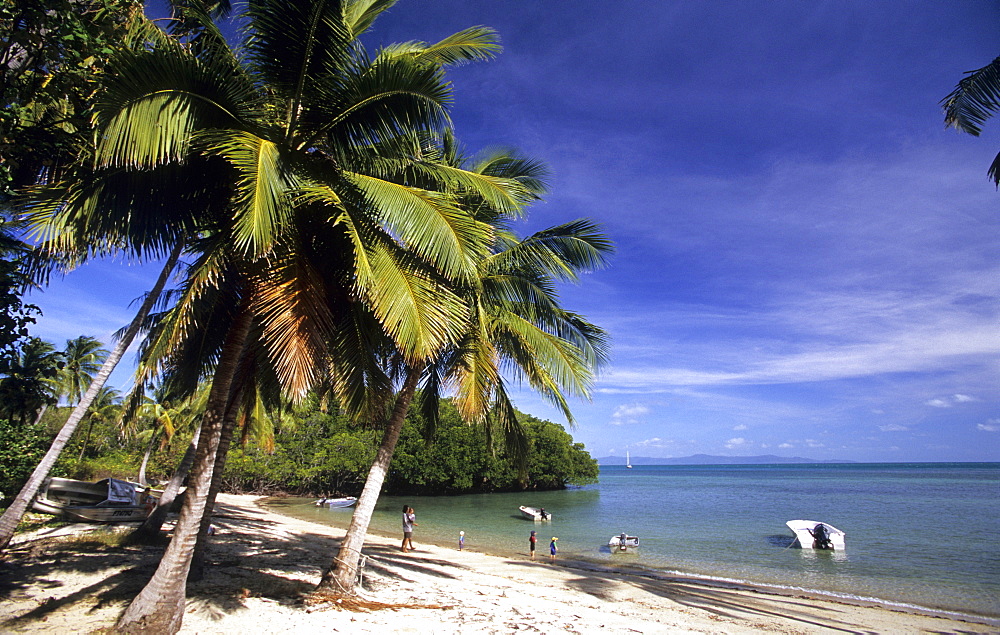 Beach at Portland on the Cape York Peninsula, Queensland, Australia