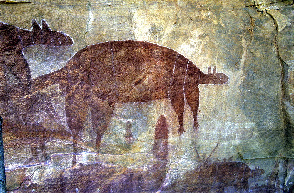 Aboriginal rock art near Jowalbinna Camp, Queensland, Australia