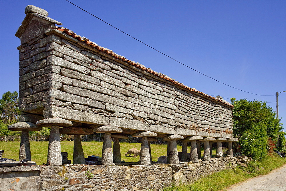 Granary storehouse, Horreo, Padreeiro de Abaixo, near Muxia, near Bainas, Way of St. James, Camino de Santiago, pilgrims way, province of La Coruna, Galicia, Northern Spain, Spain, Europe